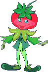 Mr. Tomato