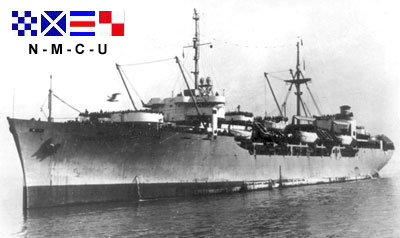 USNS General LeRoy Eltinge (T-AP-154)