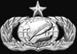Air Force Qualification Badge