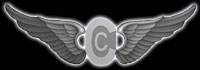 Crew Chief Wings