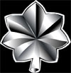 Lt. Colonel Air Force Insignia