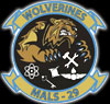 Marine Squadron 29