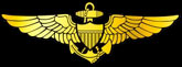 US Naval Wings of Gold