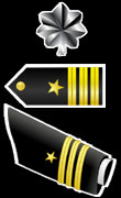 US Navy Commander Sleeve