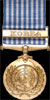 United National Service Medal