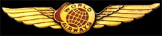 World Airways Flight Attendant Wings